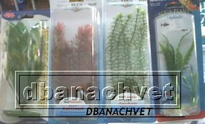 PLANTAS 8.JPG