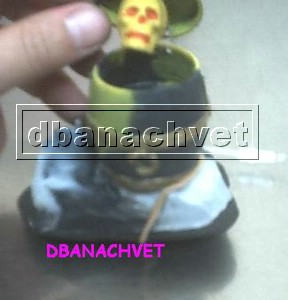 barril calavera.JPG